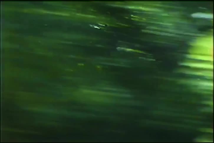 An abstract, fast-moving blur of green forest scenery is captured in a distorted, vintage VHS style