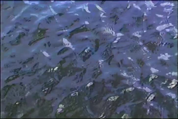 A vintage close-up shot of dark blue water rippling gently
