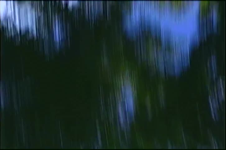 A dizzying point-of-view shot spins chaotically through a forest, looking up at the sky and sun through the tree canopy