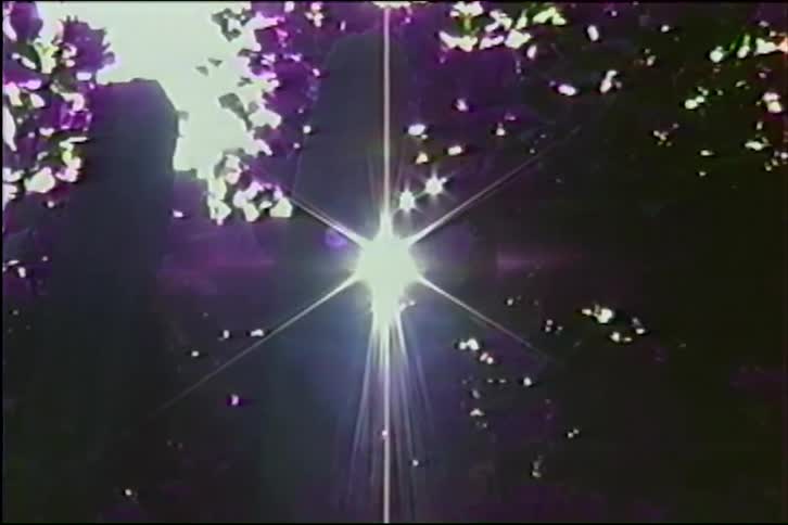 Vintage VHS footage shows a bright sun flaring through silhouetted cacti and vibrant purple flowers