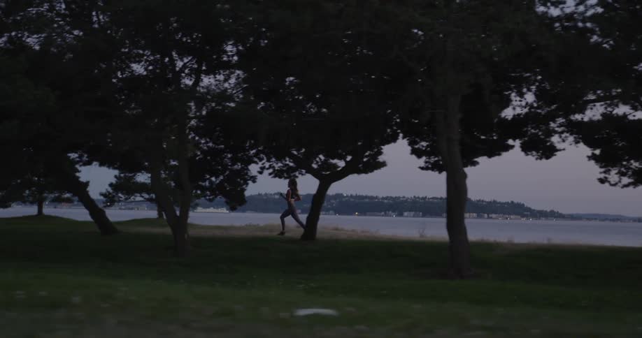 Woman jogging lakeside on a cloudy day near a park