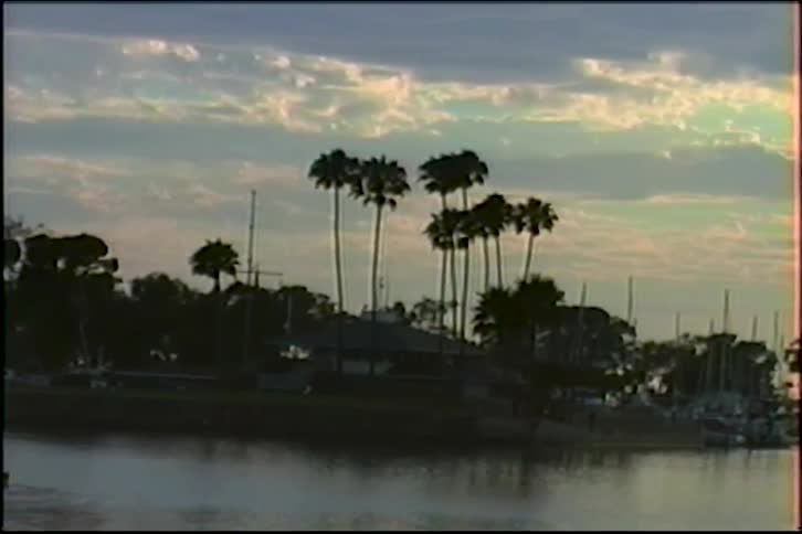 Vintage footage captures a tranquil harbor with silhouetted palm trees against a cloudy sky at dawn