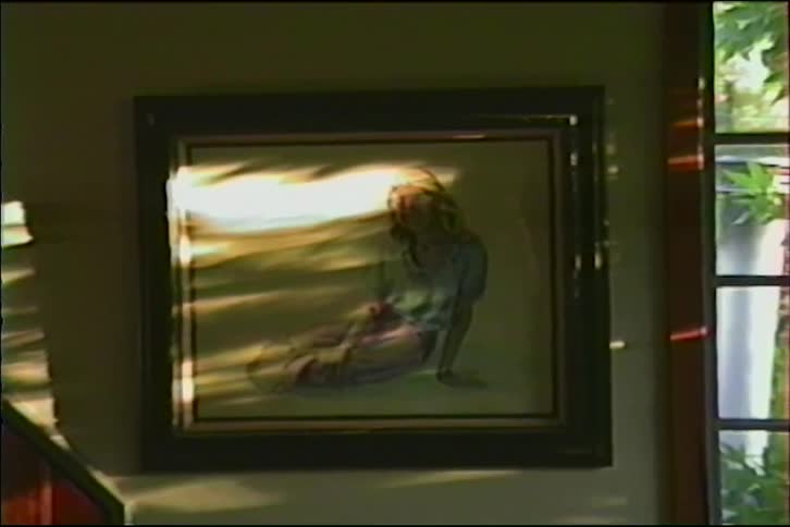 A slow zoom captures a framed painting of a seated woman as warm sunlight and shadows play across its surface