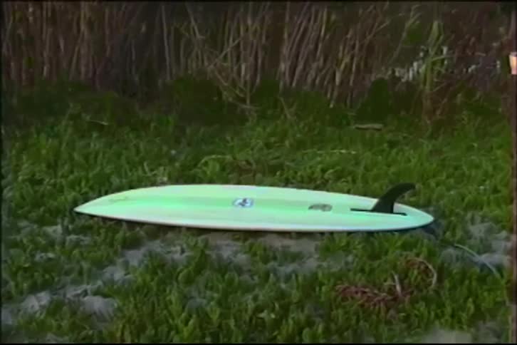 A vintage VHS-style shot shows a single-fin surfboard resting on a bed of green foliage on a sand dune