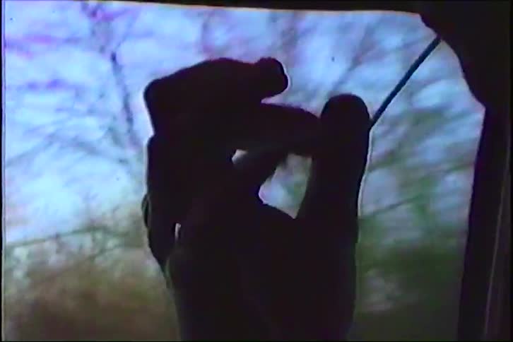 An abstract, low-quality home video shows a hand's silhouette making puppet shapes against a moving car's window