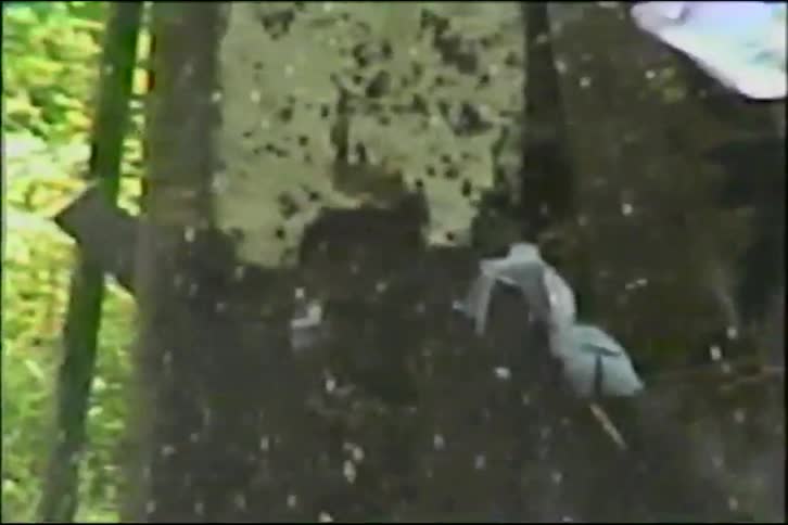 A plastic milk jug used for target practice explodes in dramatic slow motion when shot in a wooded area