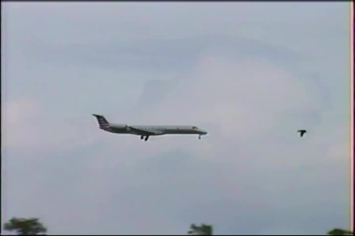 Vintage footage captures an airplane descending for a landing on a cloudy day as a bird flies past