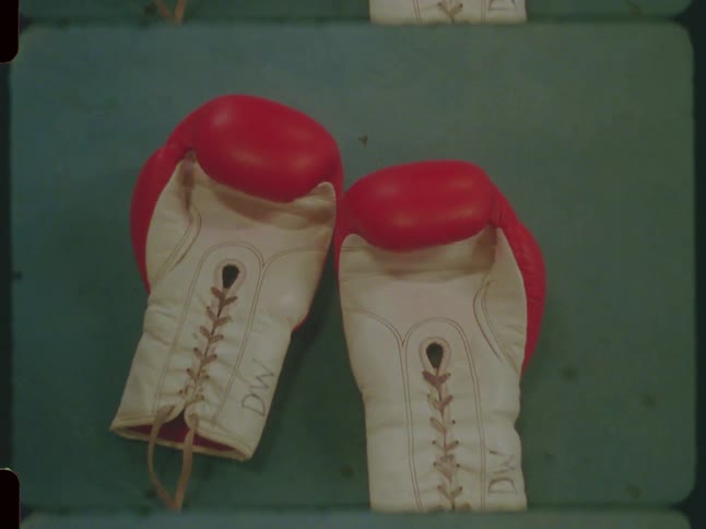 A pair of red and white vintage boxing gloves lie on the green canvas of a boxing ring