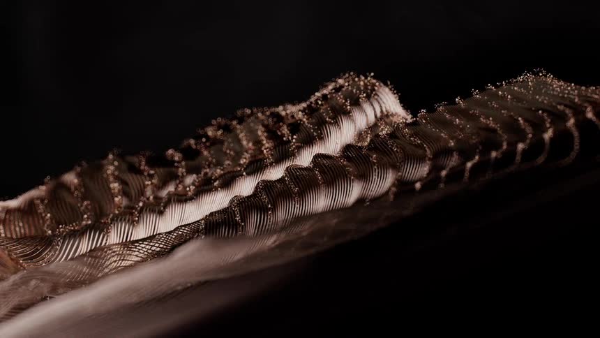 A slow, dramatic macro shot reveals the intricate, delicate patterns of a single bird feather against a black background