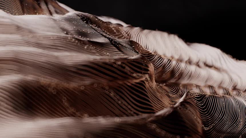 An elegant abstract animation shows a topographical surface of fine, bronze-colored lines flowing like liquid with glittering bokeh particles