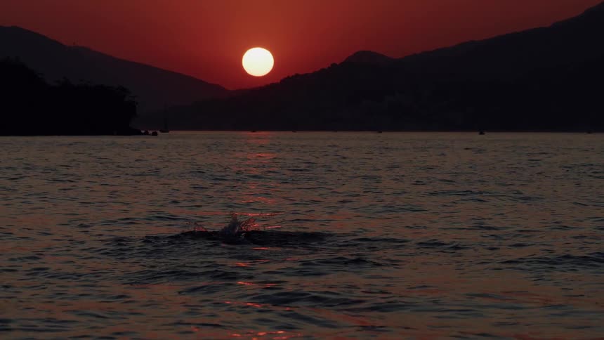 The silhouette of a swimmer glides through the water in slow motion, their form highlighted by the reflection of a stunning red sunset