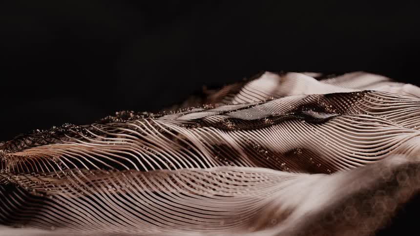 A slow pan over an abstract digital landscape of undulating brown and beige lines with sparkling particles on a black background