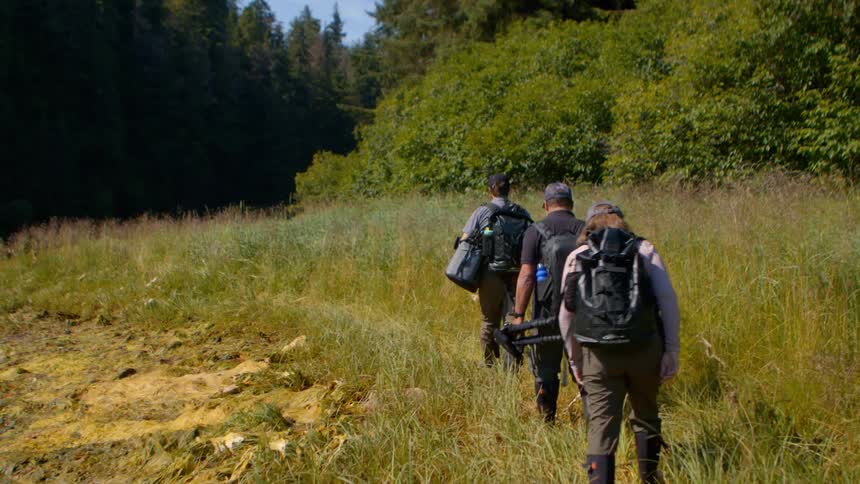 A film crew with backpacks and tripods treks through a grassy, marshy field towards a dense forest on a sunny day