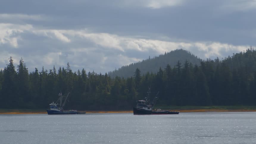 Two fishing boats are anchored in a tranquil bay with a lush, green, forested shoreline under a cloudy sky