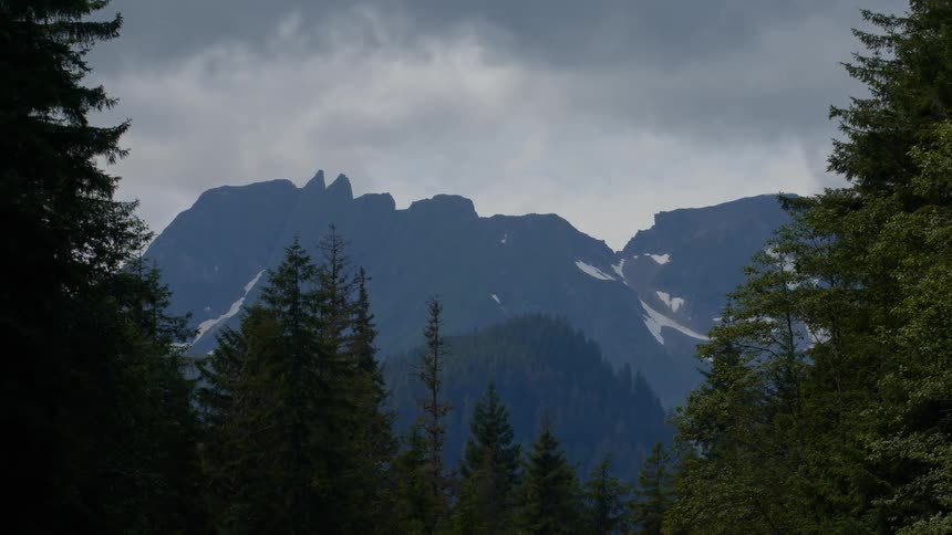Jagged, snow-dusted mountain peaks are framed by a dark evergreen forest under a moody, overcast sky