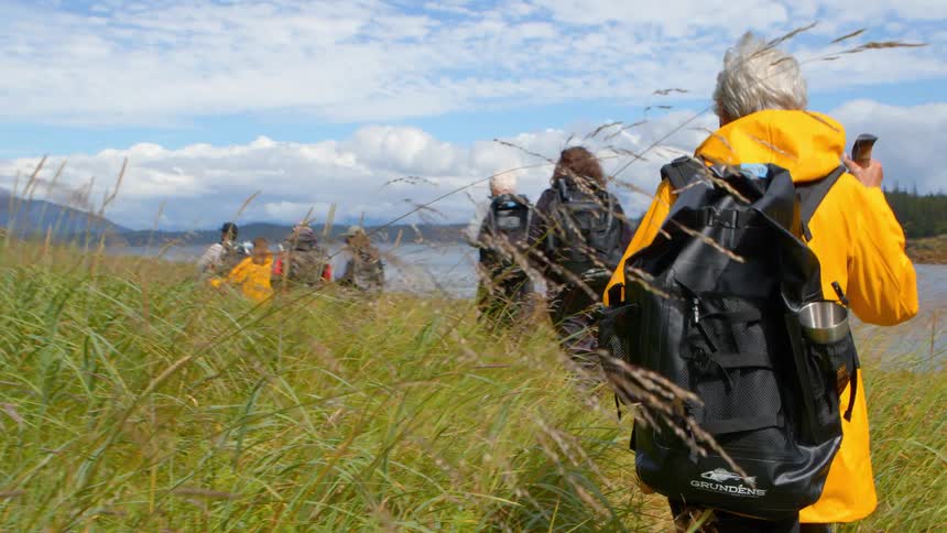 A group of senior hikers in bright rain gear walks in slow motion through tall grass along a scenic coastline