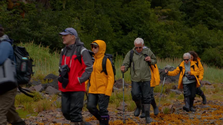 A guide leads a multi-generational group of hikers in rain gear along a rocky, seaweed-covered shoreline