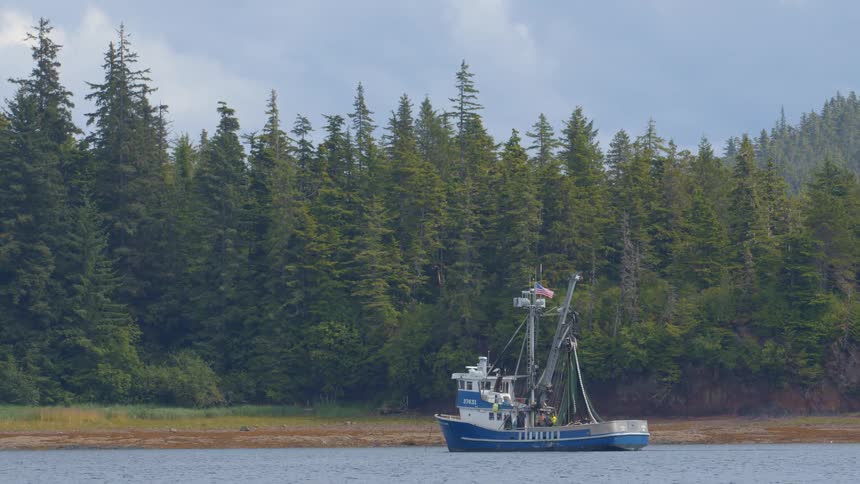 A commercial fishing boat is anchored in a remote bay with a dense evergreen forest lining the shore