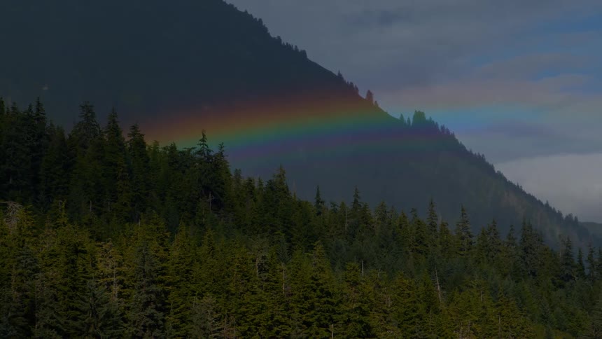 A vibrant rainbow appears in the sky above a dense evergreen forest covering a majestic mountain