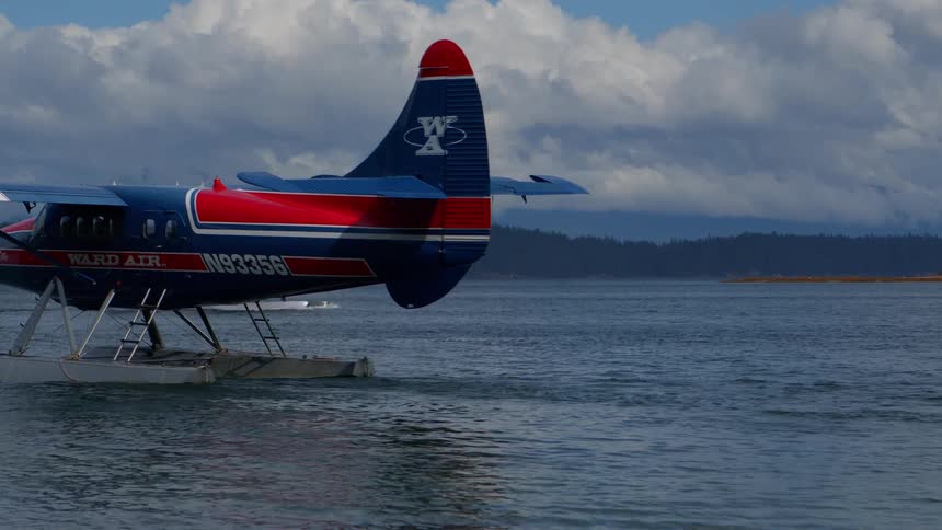 Two colorful seaplanes taxi across the calm waters of a remote bay surrounded by dense forests under a cloudy sky