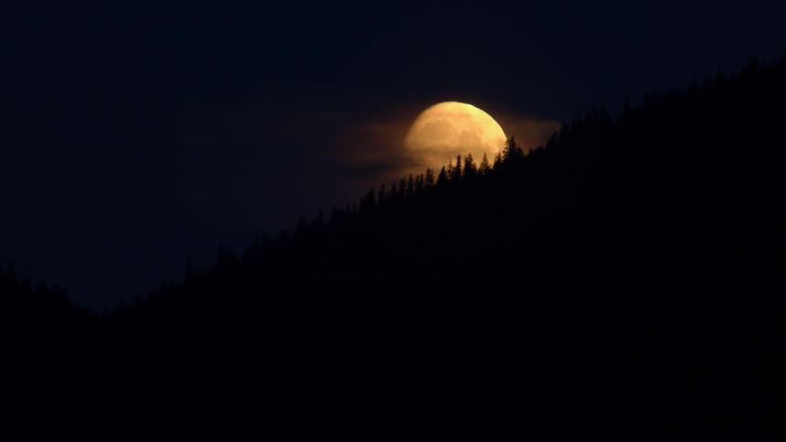 A brilliant full moon rises over a silhouetted mountain ridge lined with evergreen trees at night