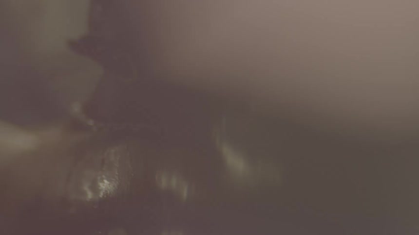 Dreamy, out-of-focus background with warm, shimmering bokeh lights and lens flares