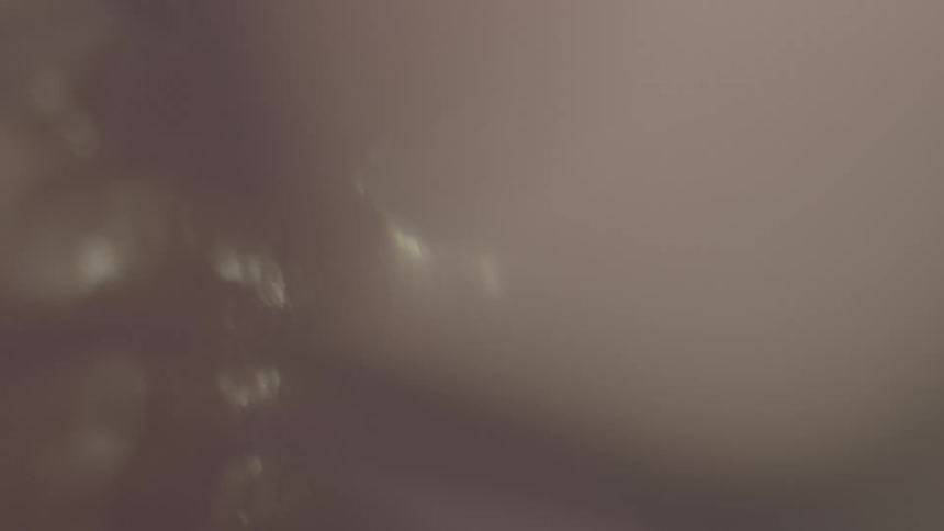 Muted, abstract background with soft focus and shimmering bokeh highlights