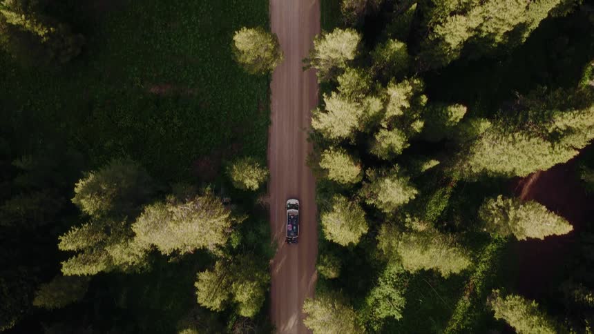 A top-down aerial view follows an SUV as it travels along a remote dirt road surrounded by a lush evergreen forest