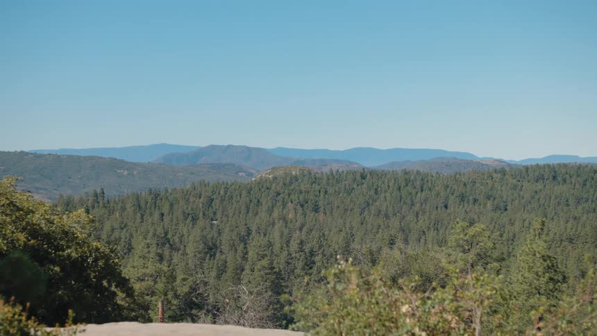 A slow zoom into a vast, dense evergreen forest with rolling mountains in the distance on a clear, sunny day