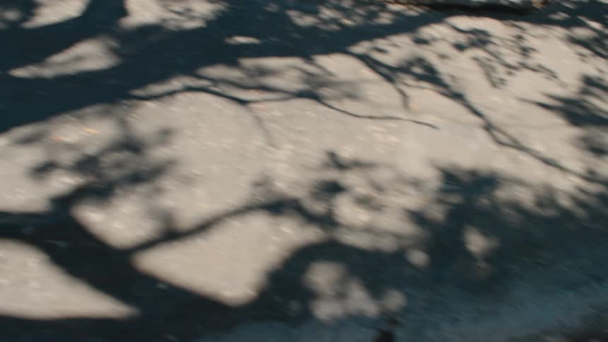 A soft-focus, abstract view of a tree's shadow swaying in the breeze on a paved surface