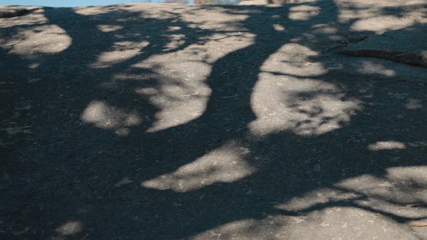 A tree's shadow sways gently across a large granite rock on a sunny day