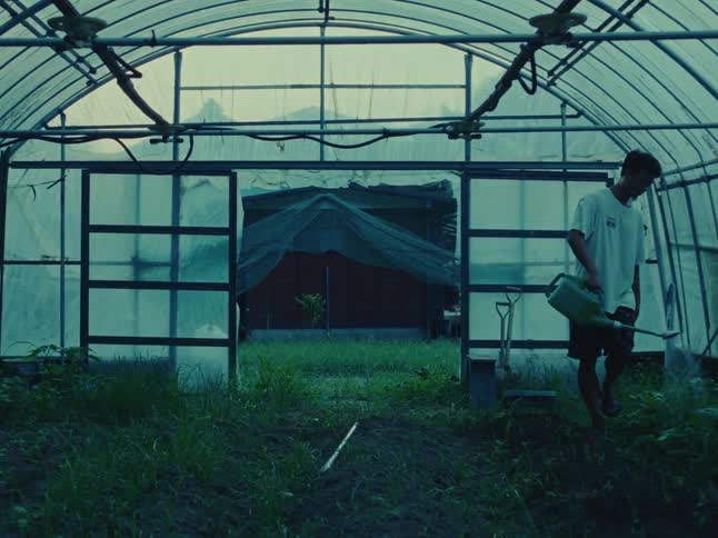 A young man barefoot in a dimly lit greenhouse carefully waters his plants at dusk