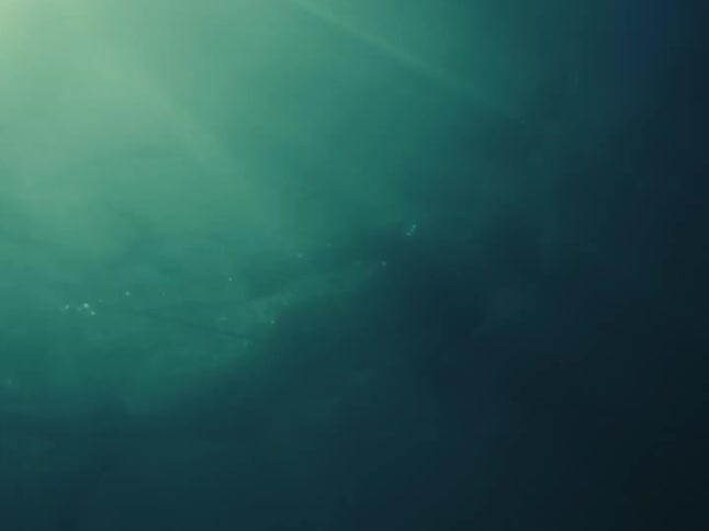 An underwater view reveals the sun's rays penetrating the deep, murky green ocean water