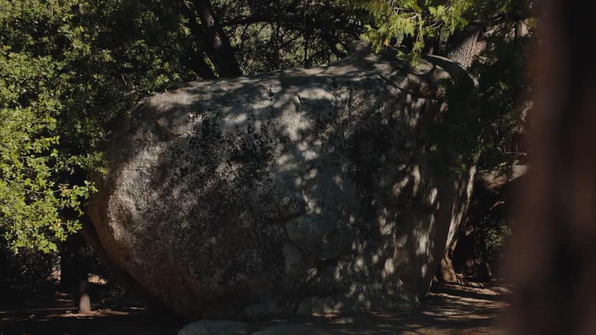 Giant shaded boulder in a sunlit forest shakes during a simulated earthquake