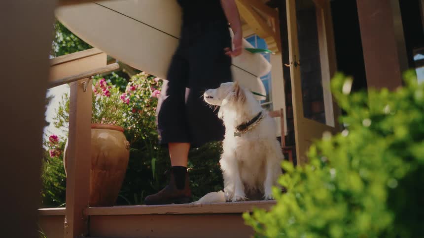 A fluffy white dog gets excited as its owner grabs a surfboard and heads out from their sunny home