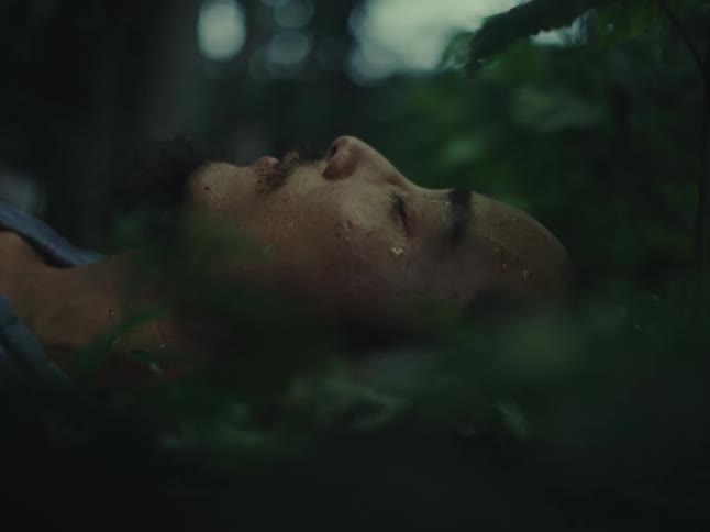 A man with a wet face lies still amongst the lush green foliage of a dark forest
