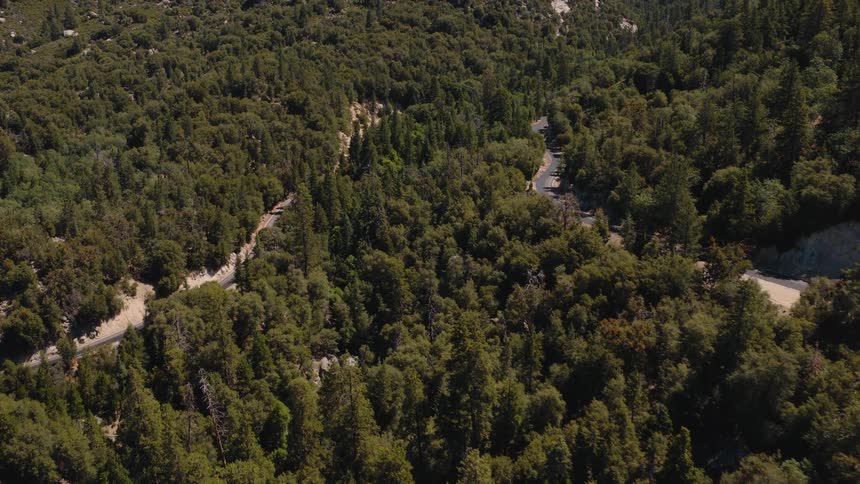 An aerial view follows a winding mountain road through a dense, lush green forest on a sunny day