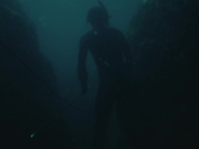 A spearfisher is silhouetted in the murky depths while holding a speargun between underwater rock formations