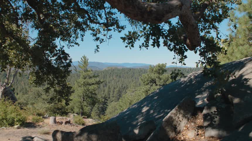A scenic pull-back shot reveals a vast mountain forest landscape framed by a shady tree branch on a sunny day
