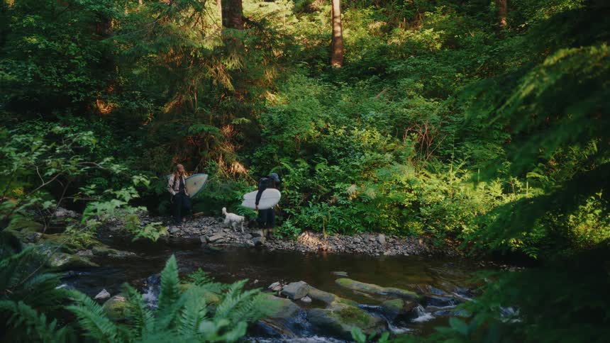 A couple and their dog hike with surfboards along a sunlit stream in a lush forest