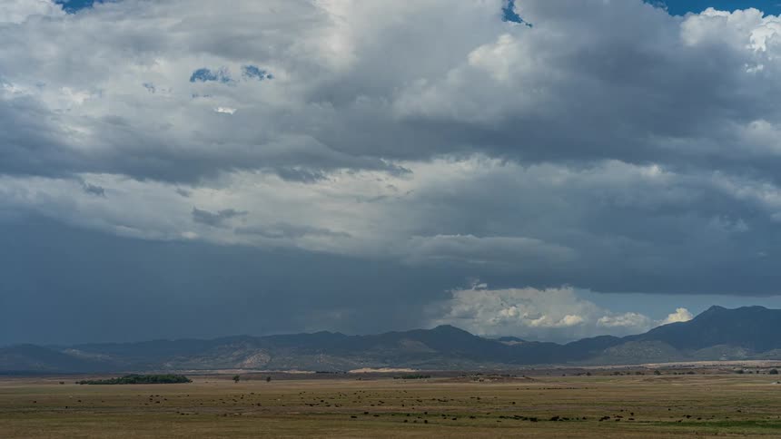 Heavy storm clouds loom over a vast savanna with a mountain range on the horizon