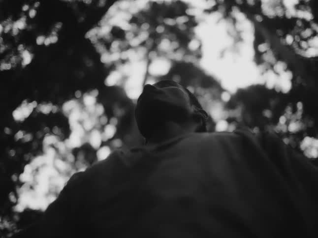 A mysterious low-angle, black and white shot of a silhouetted person looking up towards a bright canopy of trees as smoke wafts by