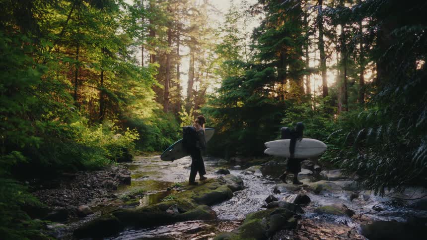 A man, woman, and their dog carry surfboards as they hike through a serene, sunlit forest creek on their way to the ocean