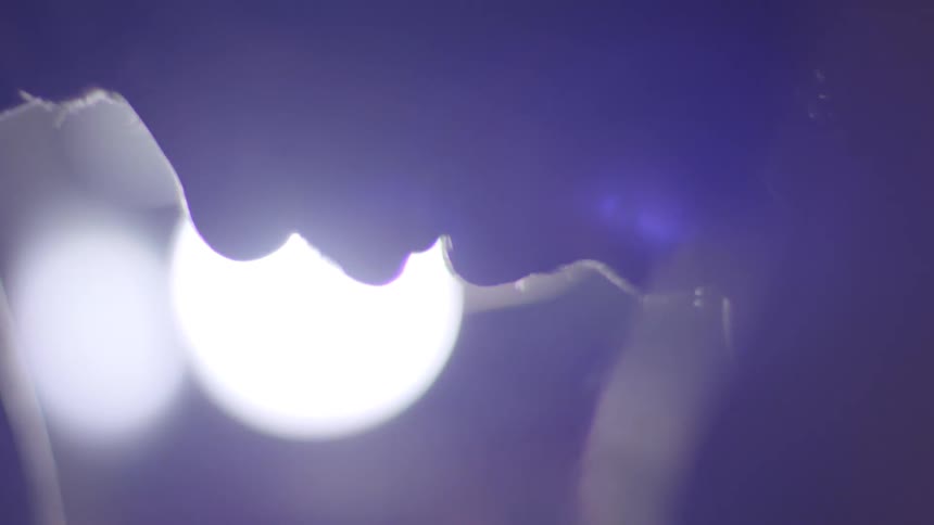 Dreamy, abstract close-up of a silhouette against a bright, out-of-focus light source