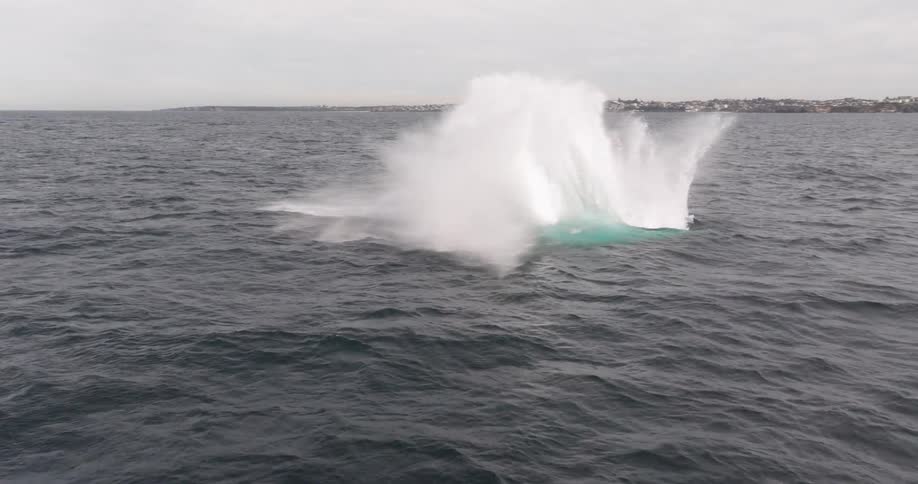 An incredible slow-motion aerial view captures a majestic humpback whale breaching out of the ocean and creating a huge splash