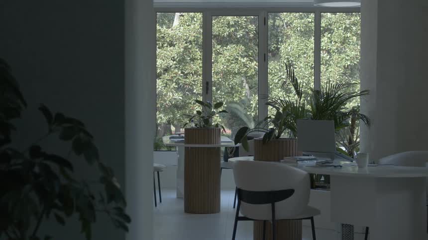 A tranquil, empty modern office space featuring minimalist white decor, abundant natural light from a large window, and numerous indoor plants