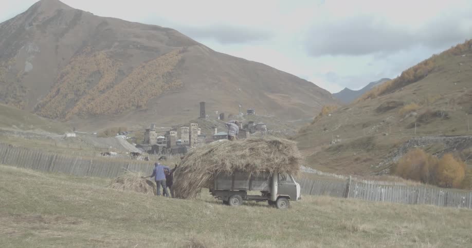 Three farmers work together piling hay onto a small truck during the autumn harvest in a remote mountain village