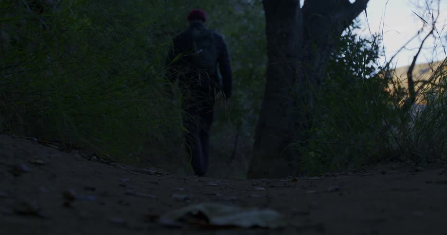 A hiker with a backpack walks away from a low-angle camera down a dirt trail in a dark forest at dusk