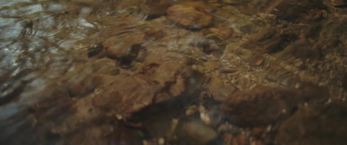 A hand gently touches the surface of a clear, shallow stream, creating ripples over the rocky creek bed
