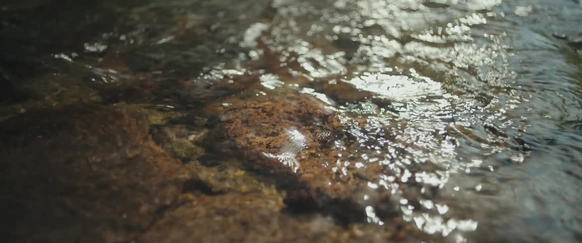 Sunlight glitters on the surface of a clear, shallow stream flowing gently over a rocky riverbed